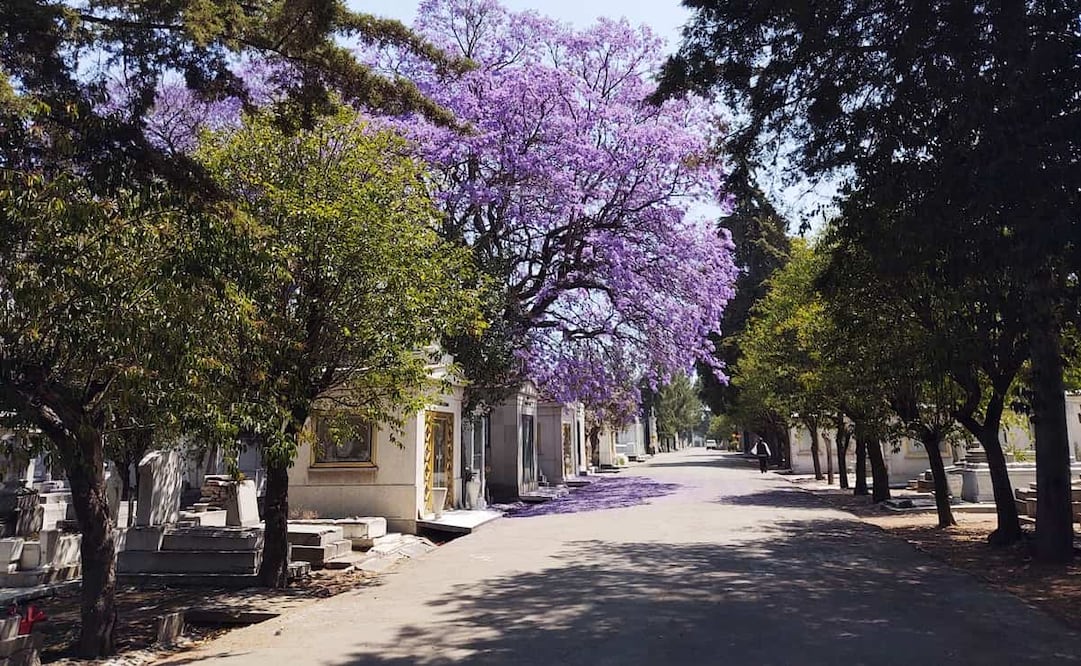 La comunidad española residente en la capital eligió, al igual que otros grupos extranjeros, la zona de Tacuba para edificar su cementerio por las características del suelo que facilitan de forma segura la descomposición de la materia orgánica. Colección Carlos Villasana.