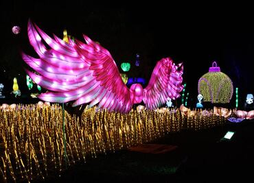 9 lugares para ir con niños en CDMX en Semana Santa