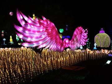 9 lugares para ir con niños en CDMX en Semana Santa