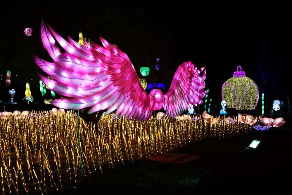 Foto: Winter Lantern Festival MX