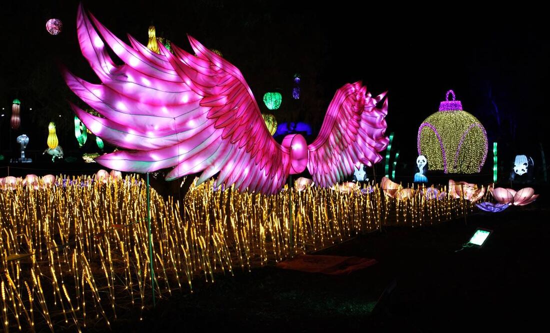 Foto: Winter Lantern Festival MX