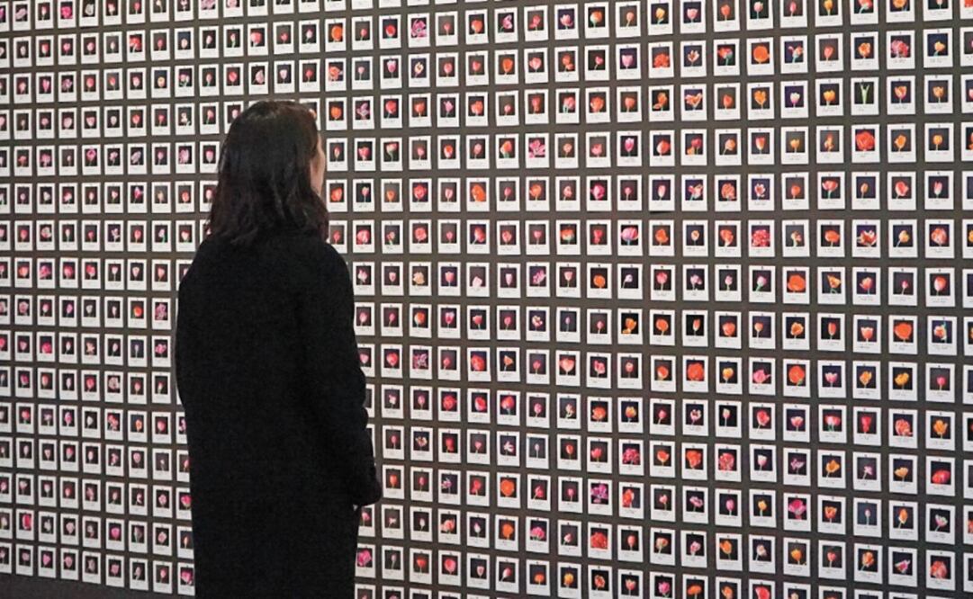 Gallery Weekend showcases Mexican talent in the city - Photo: Courtesy of Gallery Weekend