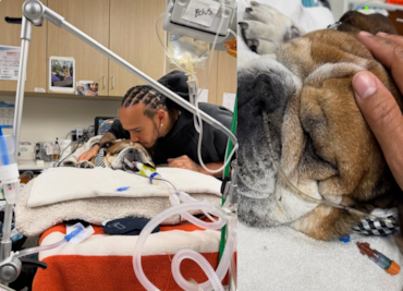 Lewis Hamilton enfrenta momentos difíciles; su perro, Roscoe, se encuentra en coma