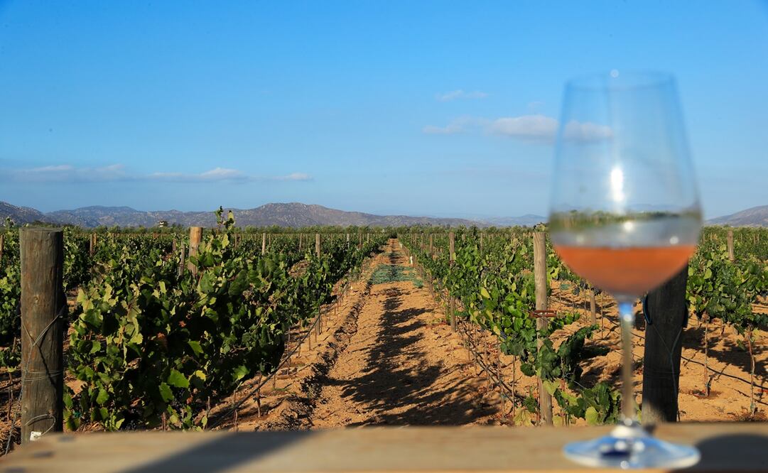 Fotos: Adriana Hernández / El Universal