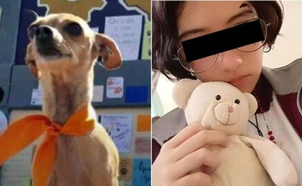 ¿Cuántos años podría pasar Vanessa en prisión por matar a "Huellitas" en Huauchinango, Puebla?