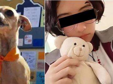 ¿Cuántos años podría pasar Vanessa en prisión por matar a "Huellitas" en Huauchinango, Puebla?