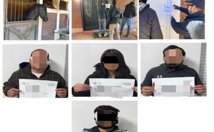 Aseguran fauna silvestre en domicilios diferentes en Nogales, Sonora; también confiscan vehículos, armas, drogas y dinero