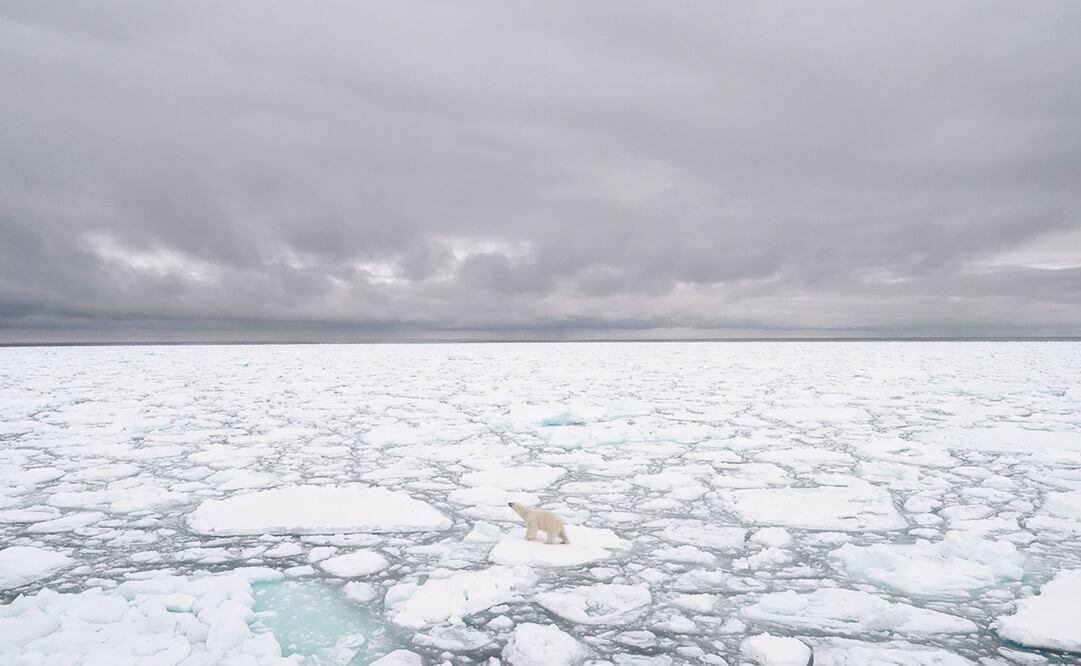 Foto: BJ Kirschhoffer / Polar Bears International/ AFP, archivo