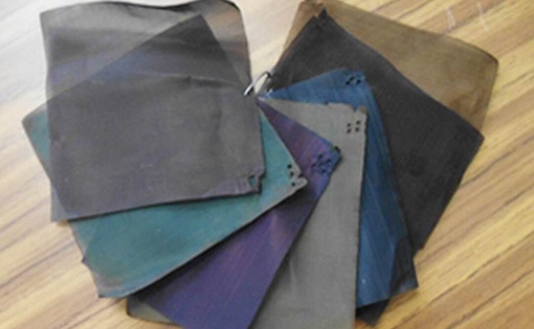 La innovación es desarrollada por la investigadora Araceli Ríos Flores. Foto: Conacyt