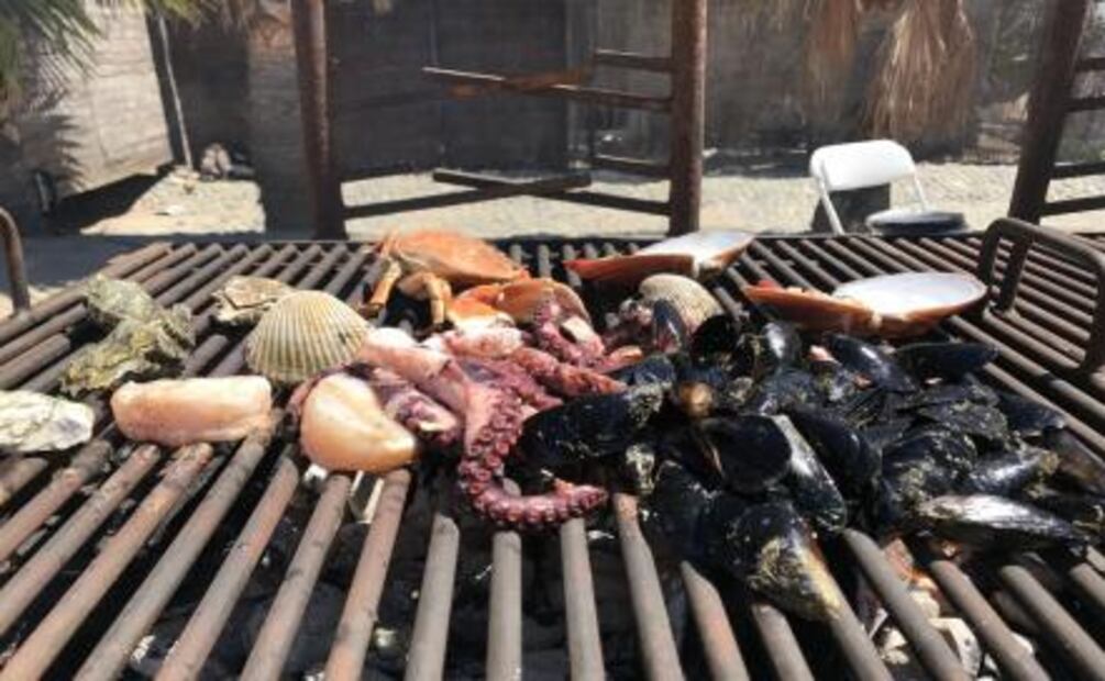 Festival de las Conchas y el Vino Nuevo, una carta de amor a Baja California