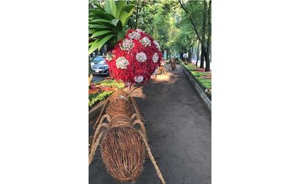 Llegan hormigas gigantes a Paseo de la Reforma