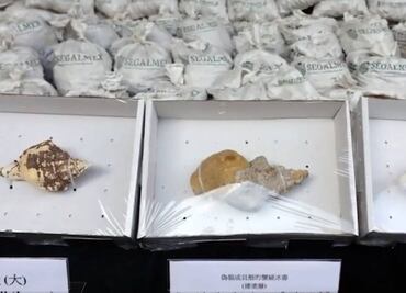 Segalmex se deslinda de metanfetamina empaquetada en conchas con su logo; alista denuncias