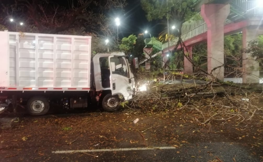 Camión de limpieza se impacta contra un árbol en Tlalpan. Foto: especial