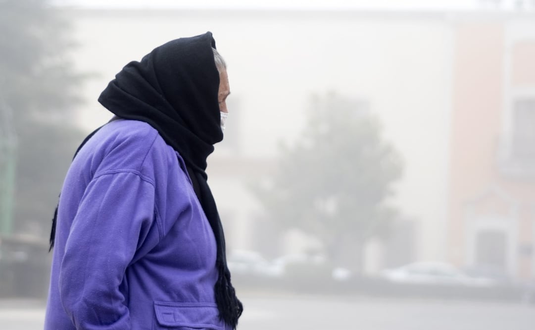 Foto: archivo/EL UNIVERSAL