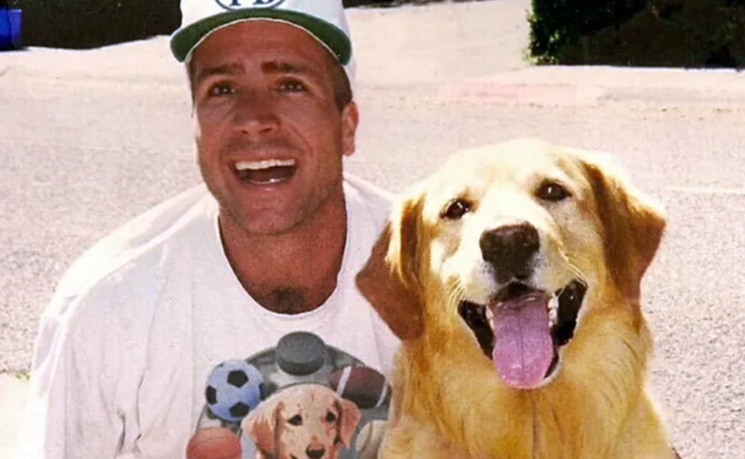 DiCicco no solo fue el dueño del perro, sino que también trabajó como guionista y productor en varias entregas de la saga, incluyendo Air Bud: El fichaje de la liga y diversas películas de la serie Buddies.