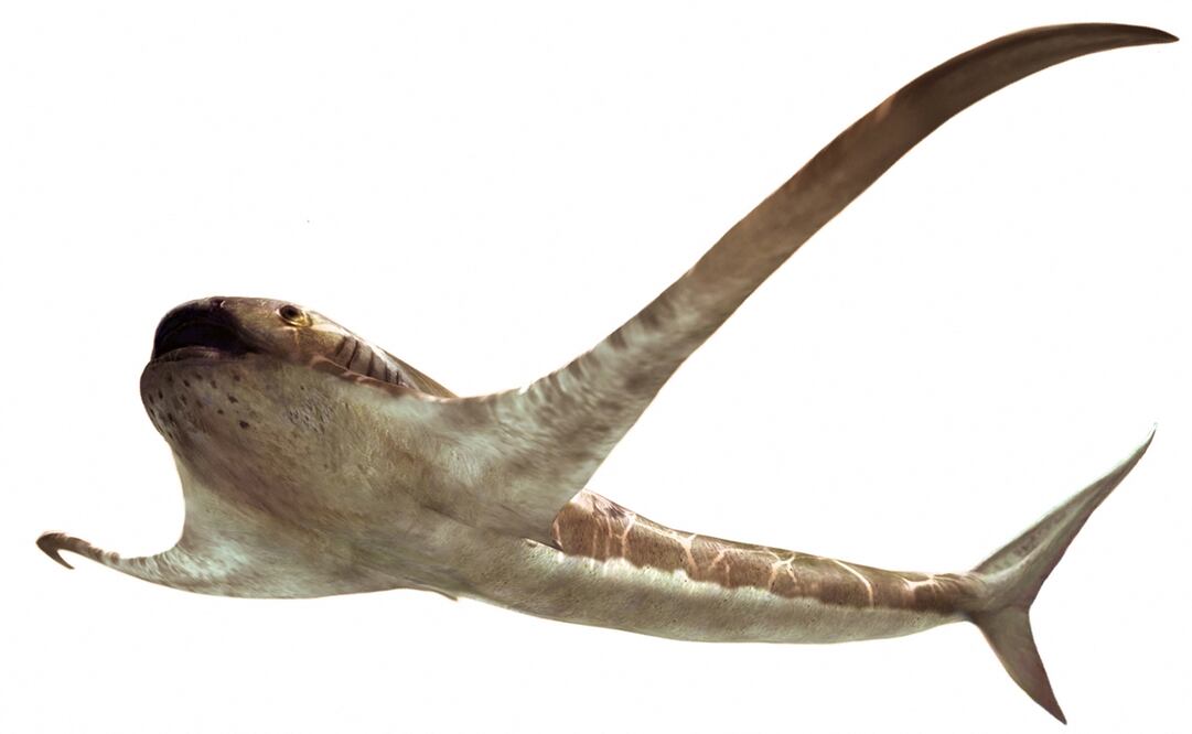 Foto: Oscar Sanisidro / Universidad de Alcala / AFP