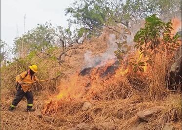 Incendios, sin atender por la presencia del crimen