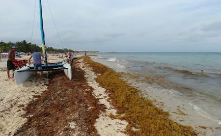 Asistirán más de 15 países a encuentro por sargazo en Cancún