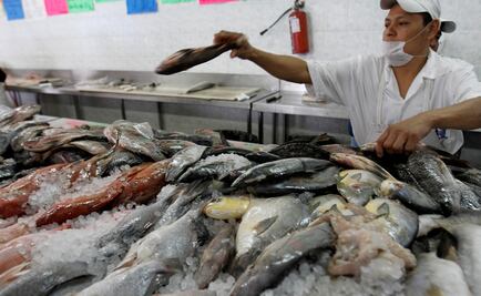 Especialistas recomiendan consumir pescado todo el año