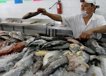 Especialistas recomiendan consumir pescado todo el año