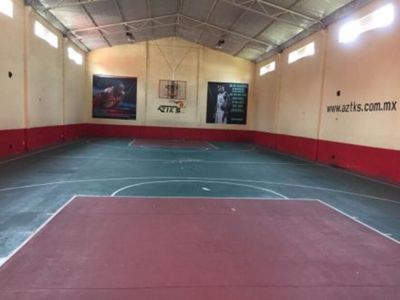 CFE tuvo su propio Disneylandia