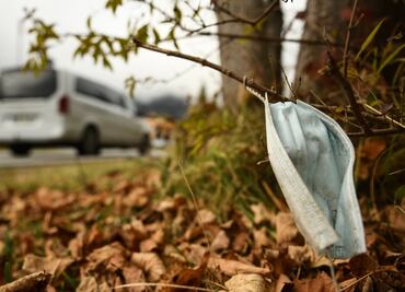 Covid-19: la nueva variante B.1.X presenta cambios no detectados en otras mutaciones