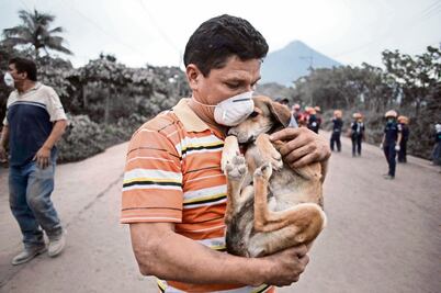 “No pude hacer nada por mi familia”