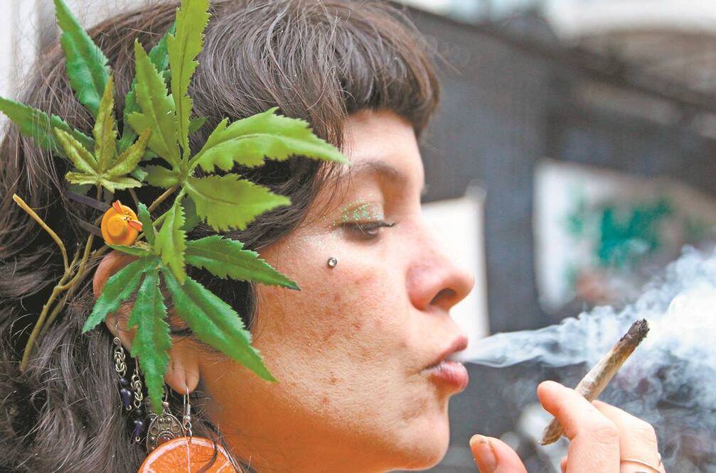 Legisladores de la Comisión de Salud trabajan en un dictamen que recoja las observaciones de Gobernación, Salud, y la Cofepris sobre el uso de la yerba. Foto/ARCVHIVO EL UNIVERSAL