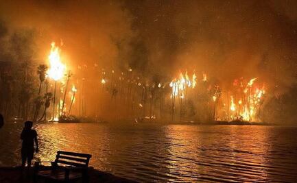 Incendio forestal afecta 40 hectáreas de palmar en San Ignacio, BCS; bomberos continúan trabajando para enfriarlo