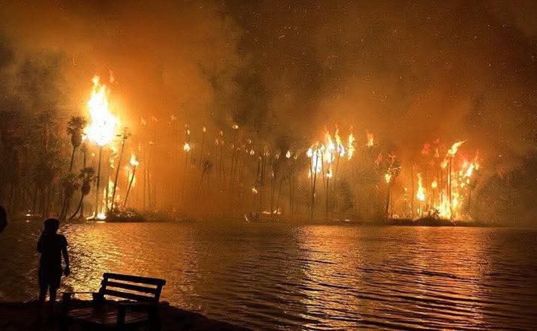 Foto: Cortesía Daniel Rojas