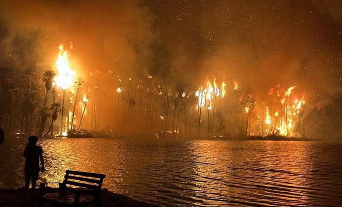 Foto: Cortesía Daniel Rojas