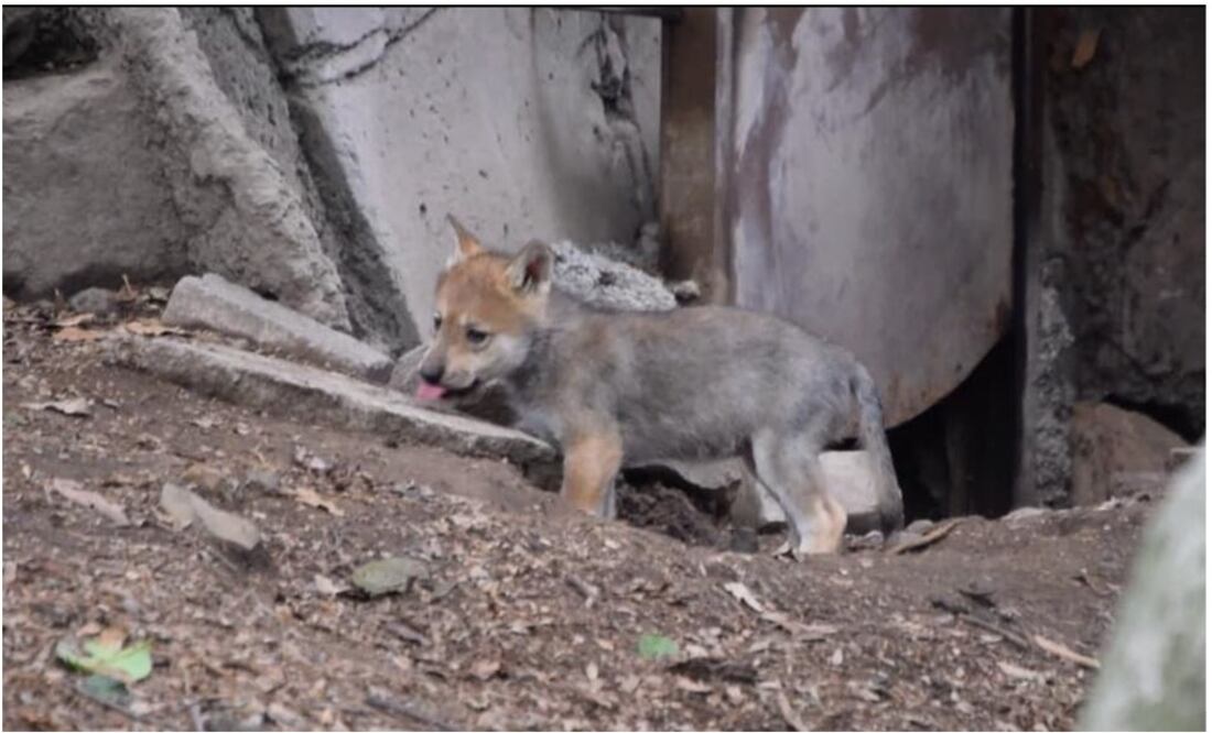 Foto: Tomada de Facebook