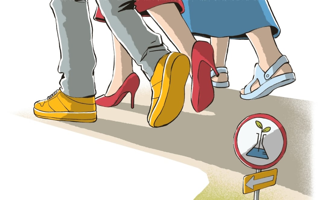 Especialistas que analizan las propuestas de los aspirantes para el sector ven falta de apoyo para la renovación generacional de científicos y para proyectos a largo y mediano plazo