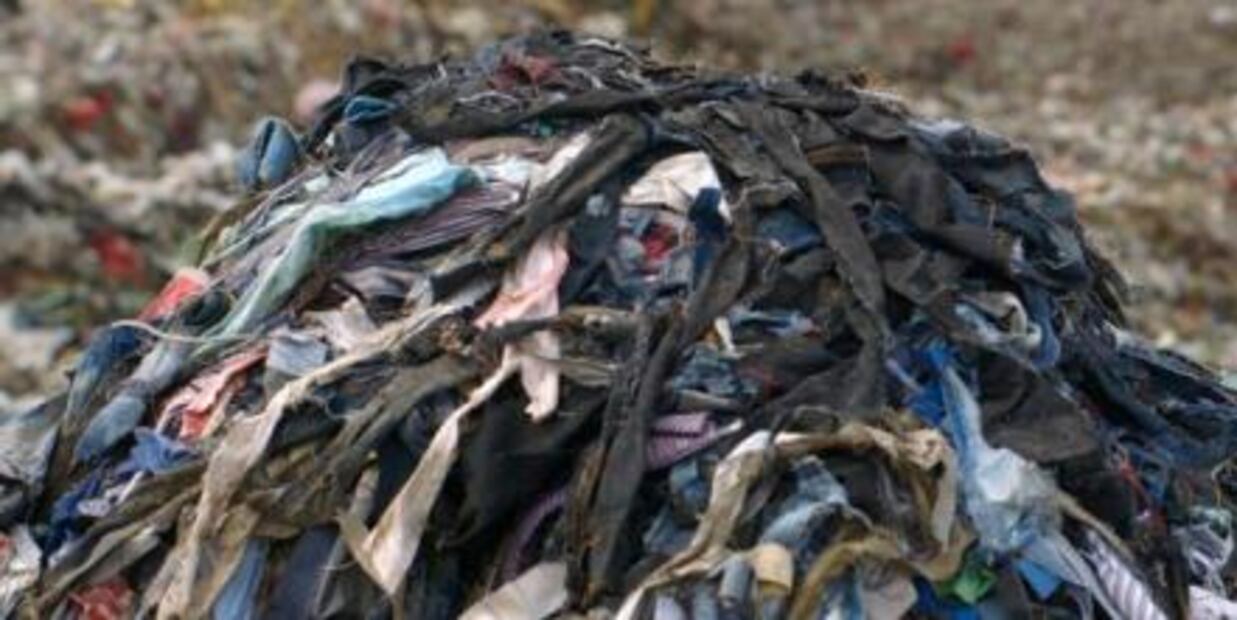 Inditex opta por hacer ropa ¡de hongos y algas!