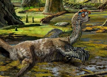 La oscuridad y el frío acabaron con los dinosaurios