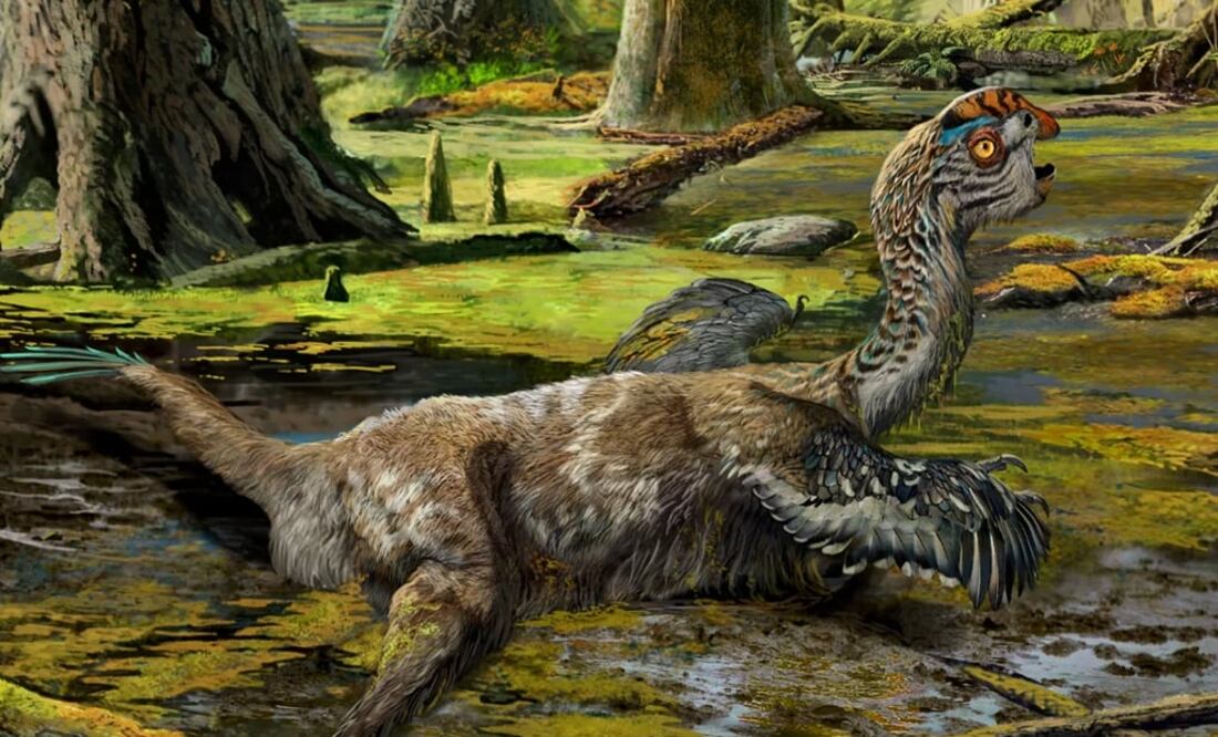 (FOTO: Archivo/EL UNIVERSAL)