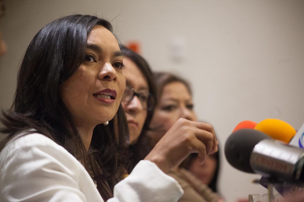 Beatriz Mojica, secretaria general del PRD, advirtió que es inaceptable que sea la propia autoridad federal quien agreda a reporteros que cubren la información “es como echarle gasolina al fuego” (Foto: Archivo)