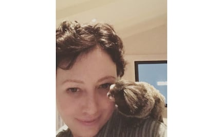 Shannen Doherty lucha por recuperarse del cáncer