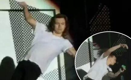 Harry Styles se cae en pleno concierto de One Direction