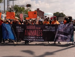 Animalistas marchan al Zócalo para exigir el cierre del Mercado de Sonora y alto al maltrato animal