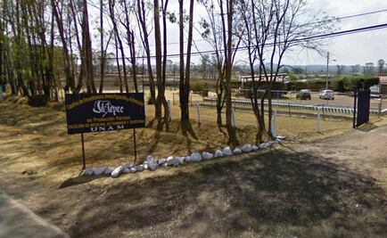 Grupo armado asalta a estudiantes de veterinaria de la UNAM en Jilotepec