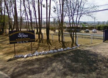 Grupo armado asalta a estudiantes de veterinaria de la UNAM en Jilotepec