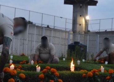 Inicia venta de flores de cempasúchil cultivadas por reos en la CDMX