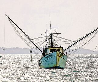EU ahora restringe pescado mexicano
