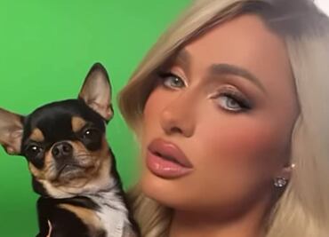 Paris Hilton está desesperada: drones y equipo especial buscan a su perro chihuahua perdido
