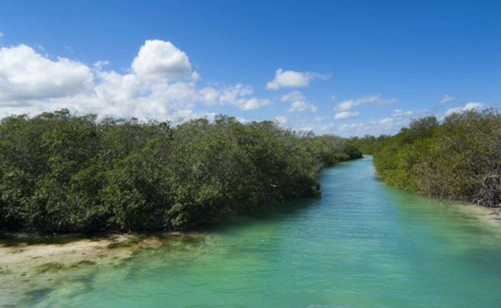 Tren Maya: reservas naturales por donde pasará la ruta