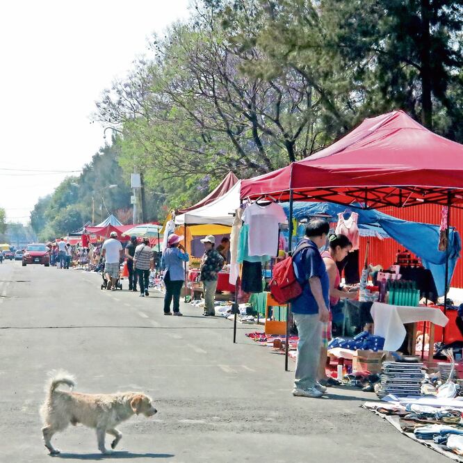 La alcaldesa Clara Brugada dijo que avanzan las negociaciones de la reubicac ió n del tianguis de Santa Cruz Meyehualco, uno de los más grandes de Iztapalapa. ARCHIVO EL UNIVERSAL