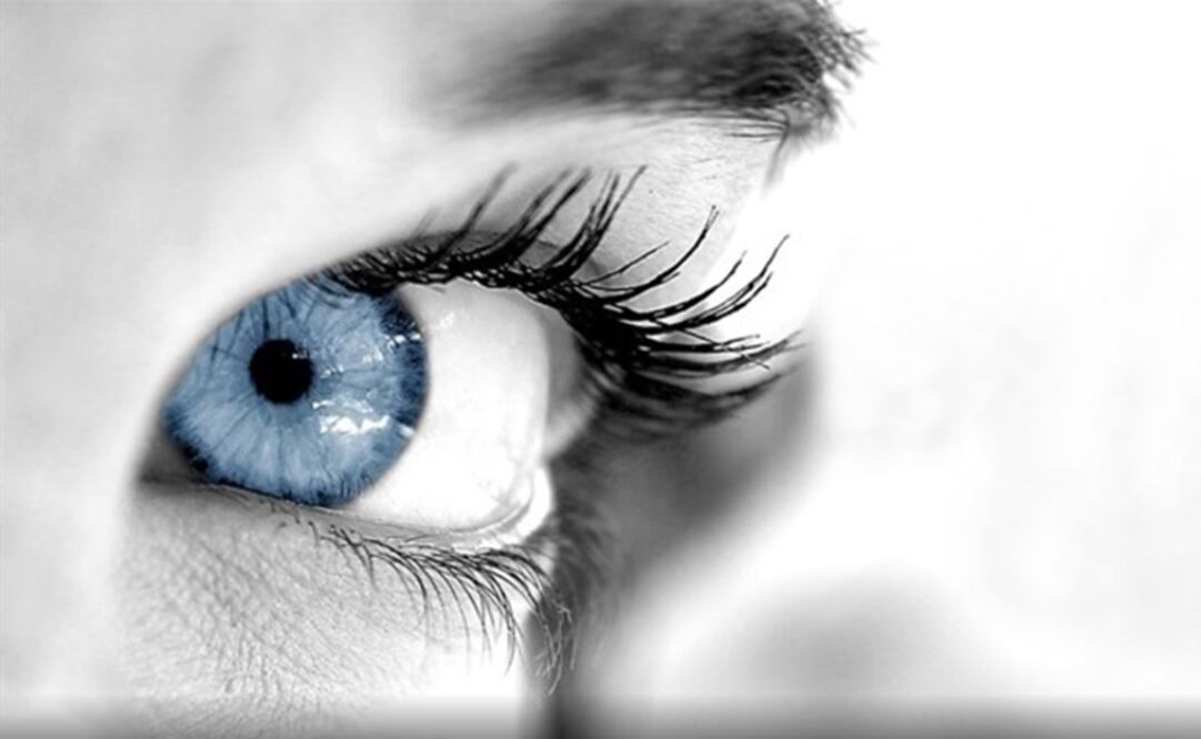 El ojo es el órgano fotosensible más común, tanto en humanos como en muchas otras especies. (FOTO: Especial)