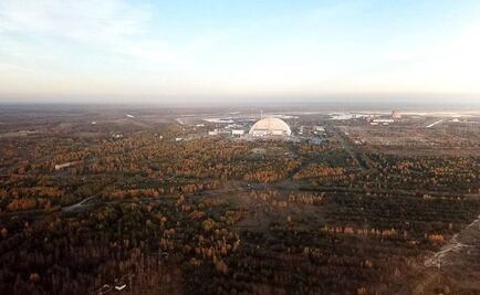 Chernóbil: cómo es el "bosque rojo", uno de los lugares más radiactivos del mundo