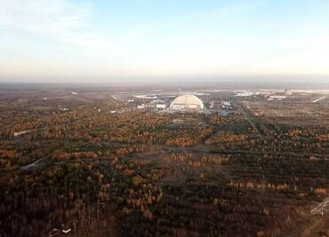Chernóbil: cómo es el "bosque rojo", uno de los lugares más radiactivos del mundo